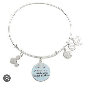 Disney Silver Alex and Ani Bangle